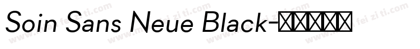 Soin Sans Neue Black字体转换